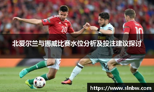 北爱尔兰与挪威比赛水位分析及投注建议探讨